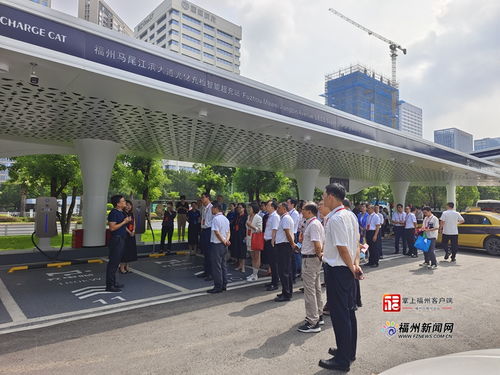 福州市政協(xié)開展新能源產業(yè)培育視察活動，助力綠色經(jīng)濟發(fā)展